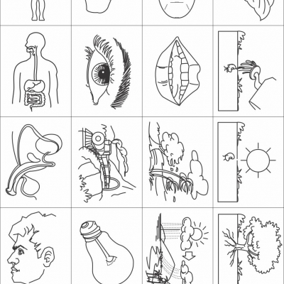 Carimbo Ciências e Partes do Corpo Humano